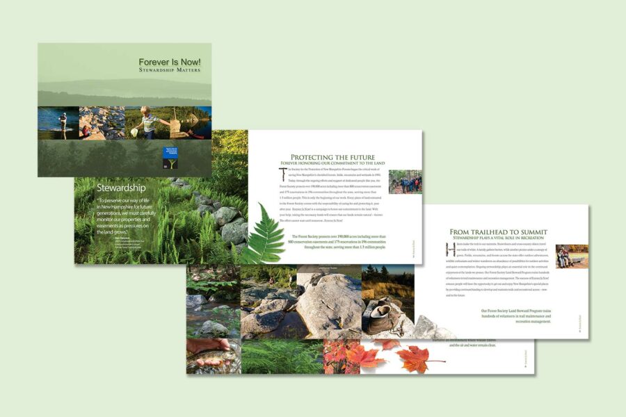 Grinley Creative completes Forest Society brochure